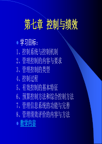 控制与绩效(ppt 65页)(3)