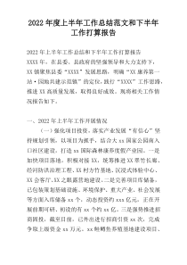 2022年度上半年工作总结范文和下半年工作打算报告