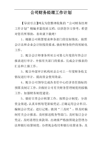 公司财务经理工作计划