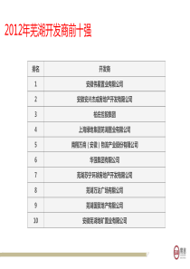 芜湖房地产前十开发企业