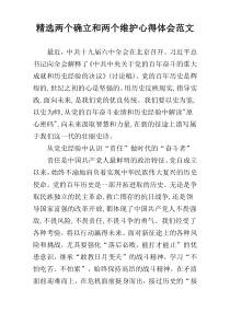 精选两个确立和两个维护心得体会范文