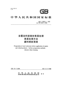 GBT 18839.2-2002 涂覆涂料前钢材表面处理 表面处理方法 磨料喷射清理