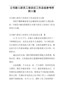 公司新入职员工培训后工作总结参考样例5篇