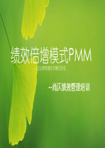 绩效倍增模式PMM(2)中高层