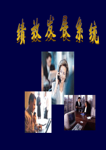 绩效发展系统（PPT 60页）(1)