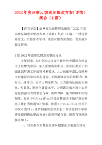 2022年度巡察反馈意见整改方案（详情）集合（4篇）