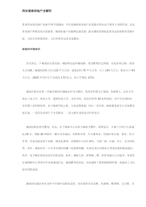 西安城南房地产业解析(DOC9)(1)