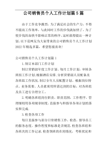 公司销售员个人工作计划篇5篇