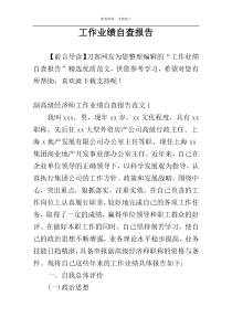 工作业绩自查报告