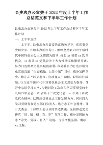 县史志办公室关于2022年度上半年工作总结范文和下半年工作计划