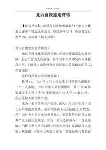 党内自我鉴定评语