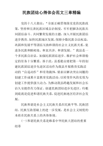 民族团结心得体会范文三章精编