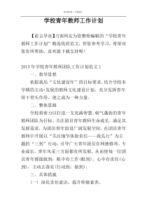 学校青年教师工作计划