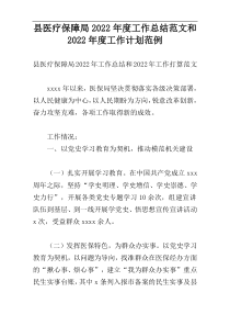 县医疗保障局2022年度工作总结范文和2022年度工作计划范例_1