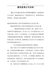 建设监理公司总结