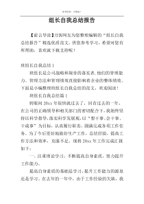 组长自我总结报告