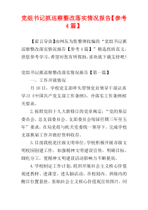 党组书记抓巡察整改落实情况报告【参考4篇】