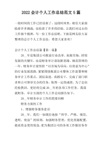 2022会计个人工作总结范文5篇