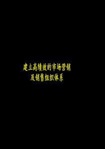 麦肯锡建立高绩效的市场营销及销售组织体系