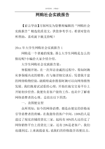 网购社会实践报告