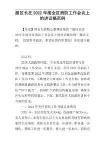 副区长在2022年度全区消防工作会议上的讲话稿范例