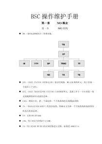 BSC操作维护手册终稿