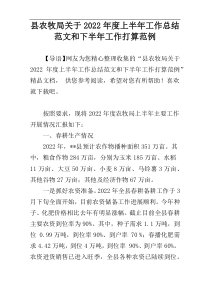 县农牧局关于2022年度上半年工作总结范文和下半年工作打算范例