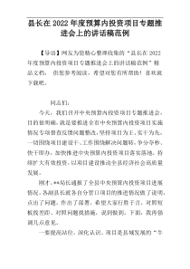 县长在2022年度预算内投资项目专题推进会上的讲话稿范例