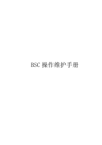 CopyofBSC操作维护手册终稿