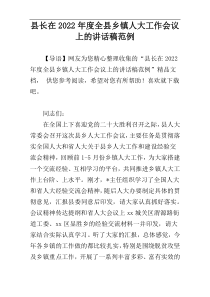 县长在2022年度全县乡镇人大工作会议上的讲话稿范例