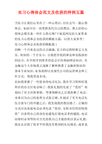 实习心得体会范文及收获的样例五篇