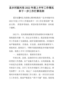 县乡村振兴局2022年度上半年工作情况和下一步工作打算范例