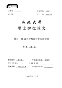 SP公司平衡计分卡应用研究