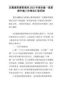 区数据资源管理局2022年度创建一流营商环境工作情况汇报范例