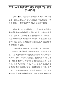 关于2022年度轻干部队伍建设工作情况汇报范例