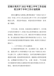 区统计局关于2022年度上半年工作总结范文和下半年工作计划范例