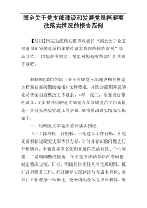 国企关于党支部建设和发展党员档案整改落实情况的报告范例