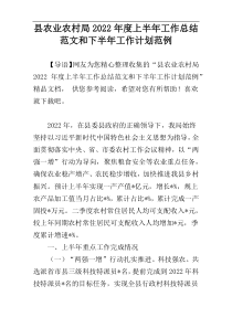 县农业农村局2022年度上半年工作总结范文和下半年工作计划范例