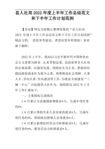 县人社局2022年度上半年工作总结范文和下半年工作计划范例