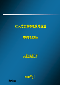 Haygroup(合益集团)国最大的电信集团之一的人力资源规划