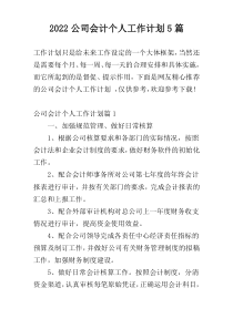 2022公司会计个人工作计划5篇