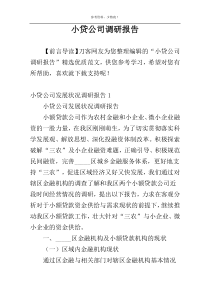 小贷公司调研报告