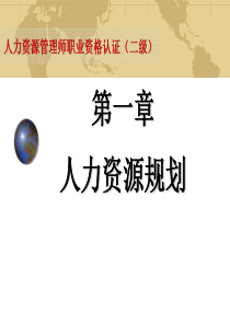 XXXX人力资源管理师二级_人力资源规划