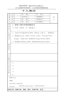 个人简历模板_二版