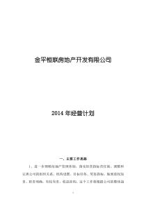 金平恒联房地产开发有限公司经营计划