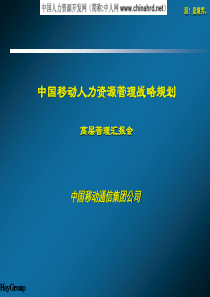 中移动人力资源规划