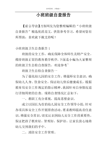 小班班级自查报告