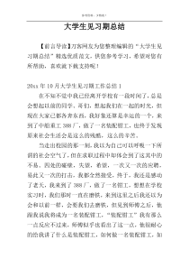 大学生见习期总结