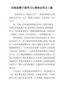 纪检监察干部学习心得体会范文3篇