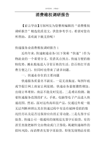 消费维权调研报告